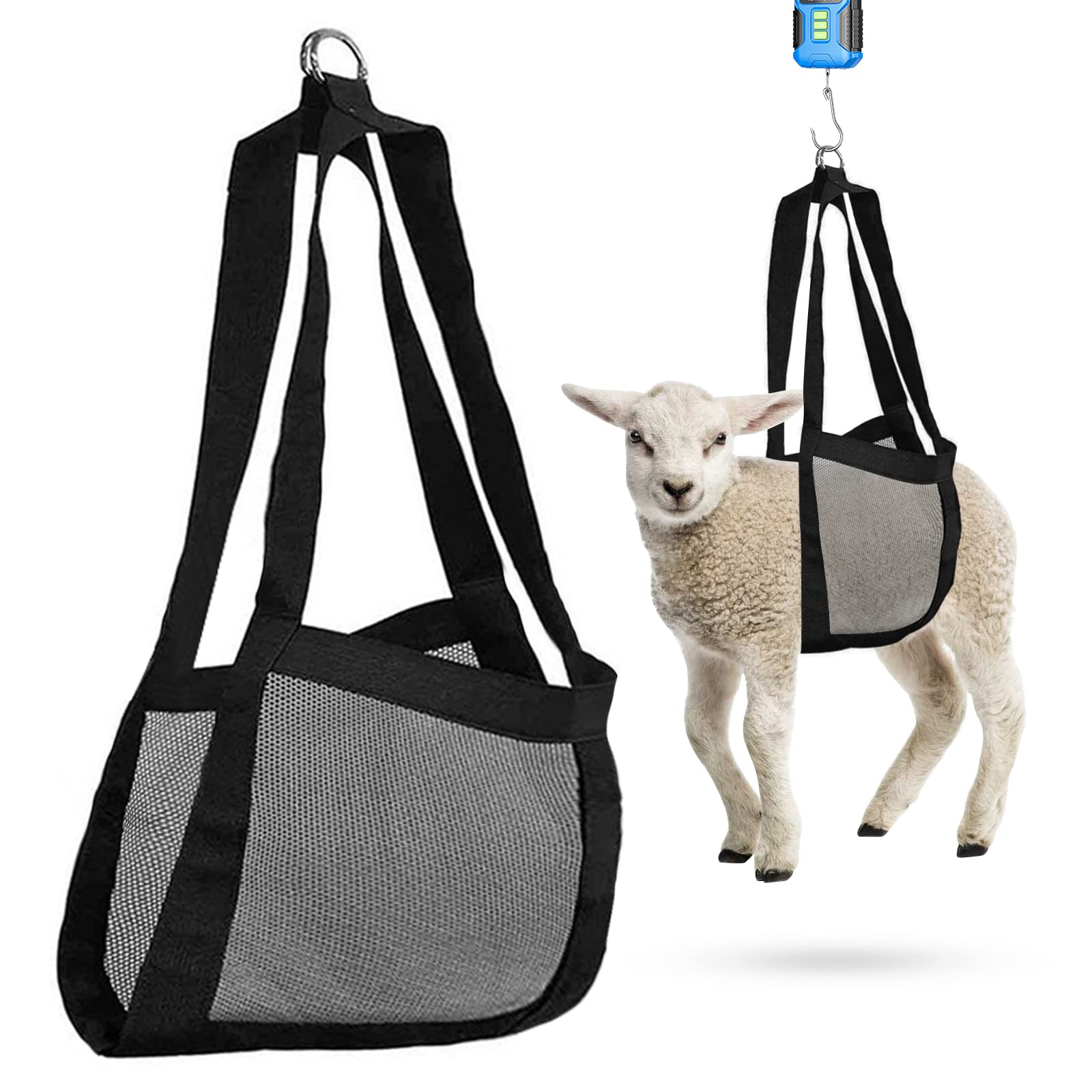 Zasukol lamb sling for weighing with D-ring provides secure hanging during calf or lamb weigh sessions