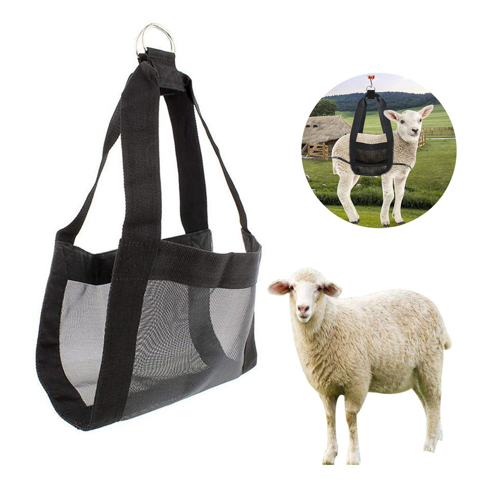 Zasukol newborn-animal weighing sling aids efficient farm data collection
