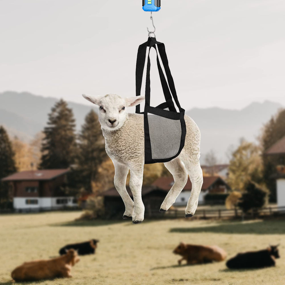 Zasukol small-animal sling supports lambs, goats, and young calves during weighing tasks