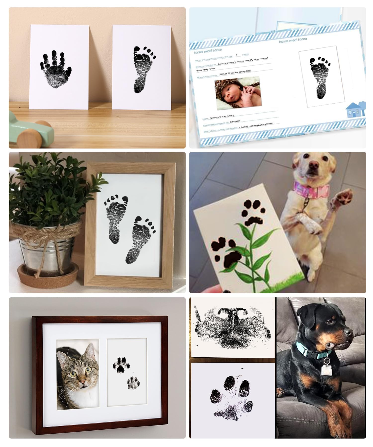 Zemiu drying guidance for frame-ready keepsakes