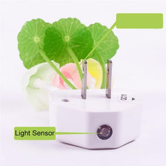 ZEZHOU Plug-in wall night light for instant setup and soft glow