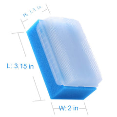 ZIZNBA sponge brush used for scalp massage with soft bristles.