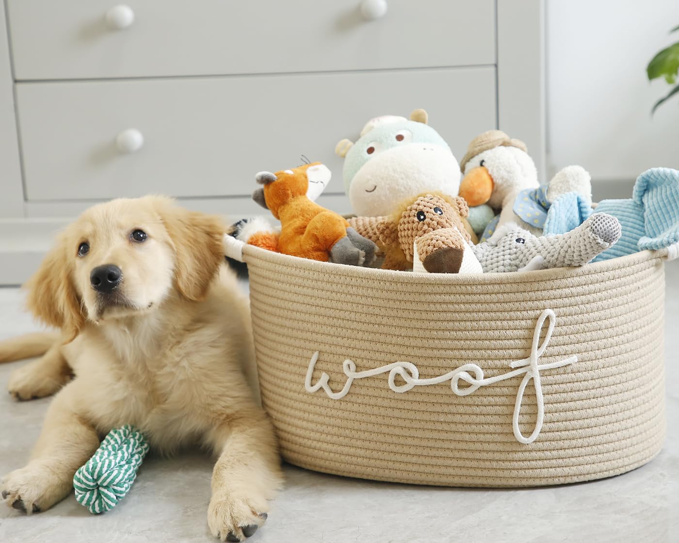zombati woof basket grey beige colors blend with neutral decor and pet spaces