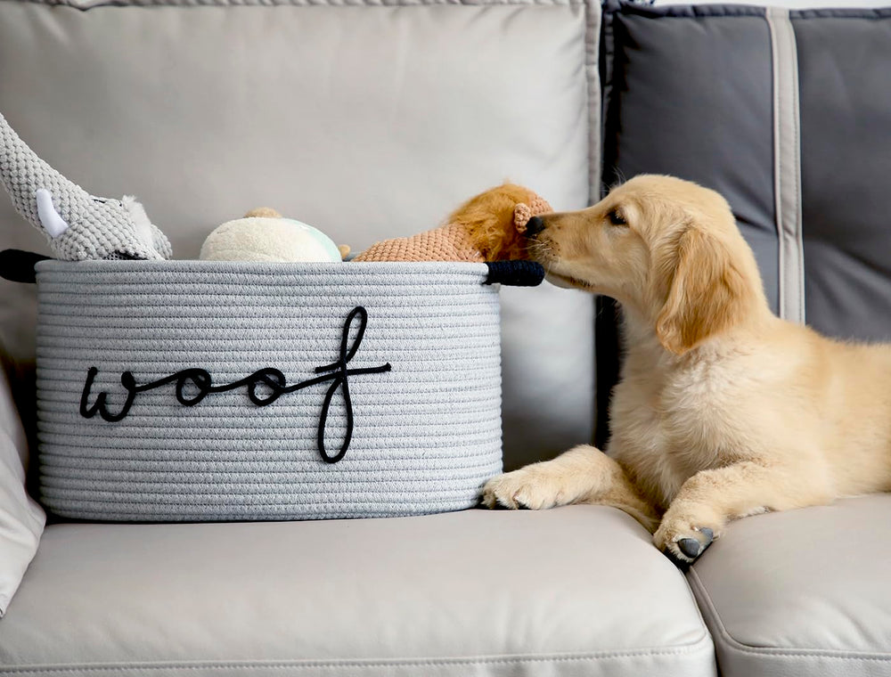 ZOMBATI Woof Dog Basket in neutral grey-white-beige matches modern decor.