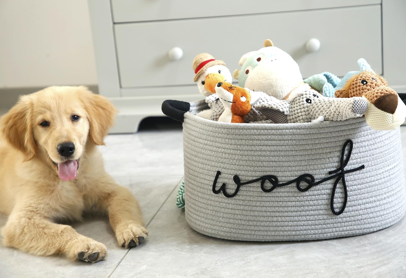 ZOMBATI Woof Dog Basket side view with sturdy handles for easy carrying.