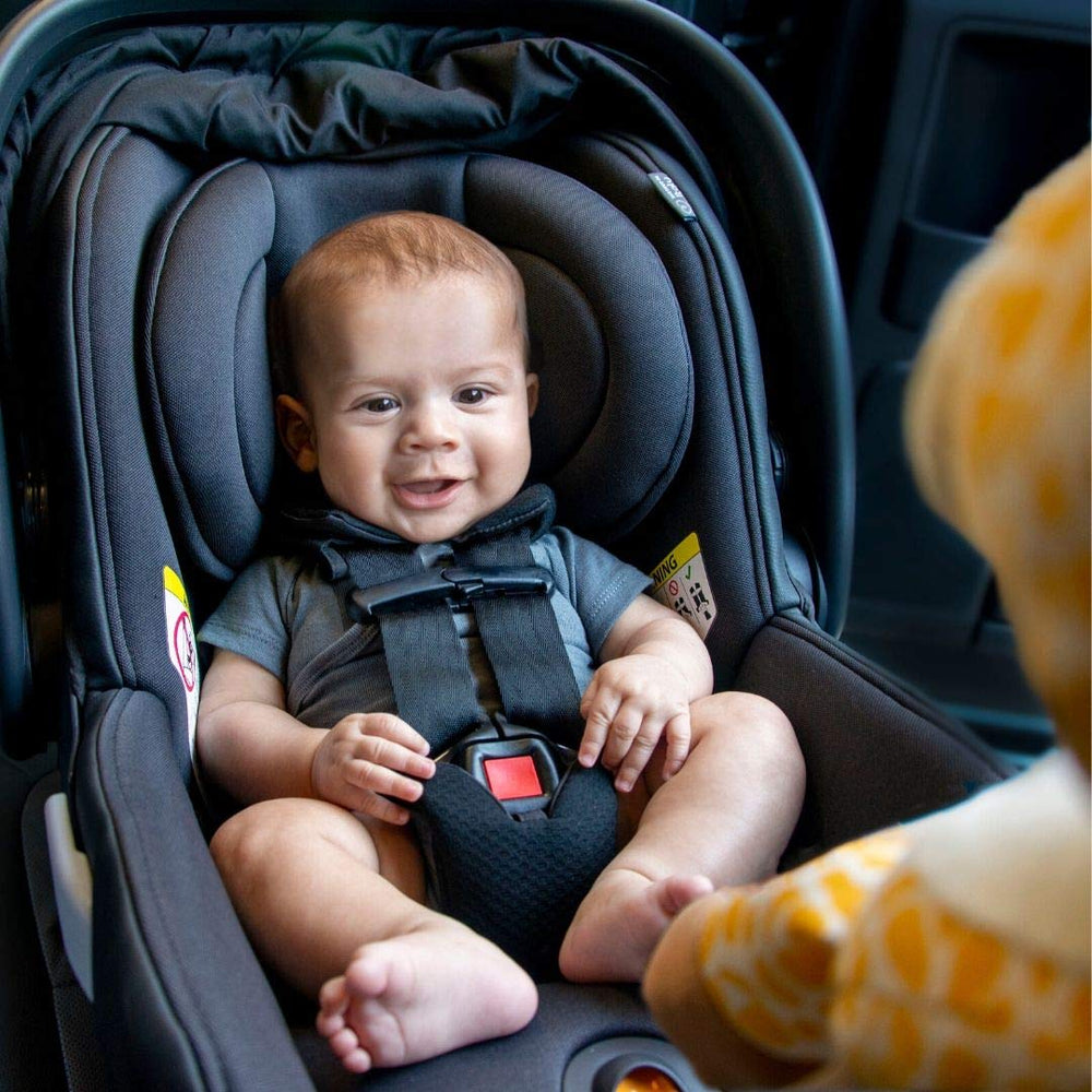 zooby plush companion on ride offers baby friendly comfort